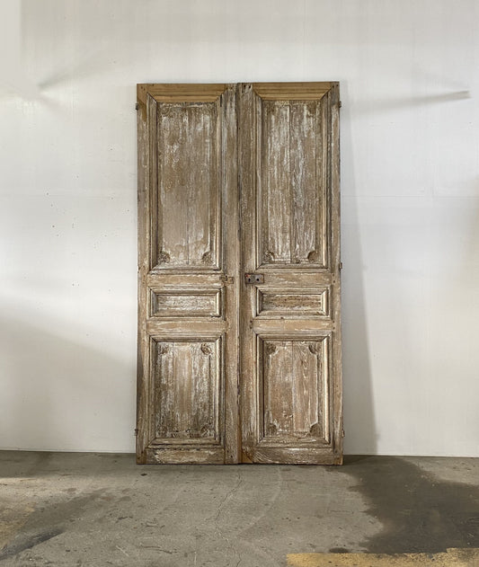 french panel double doors