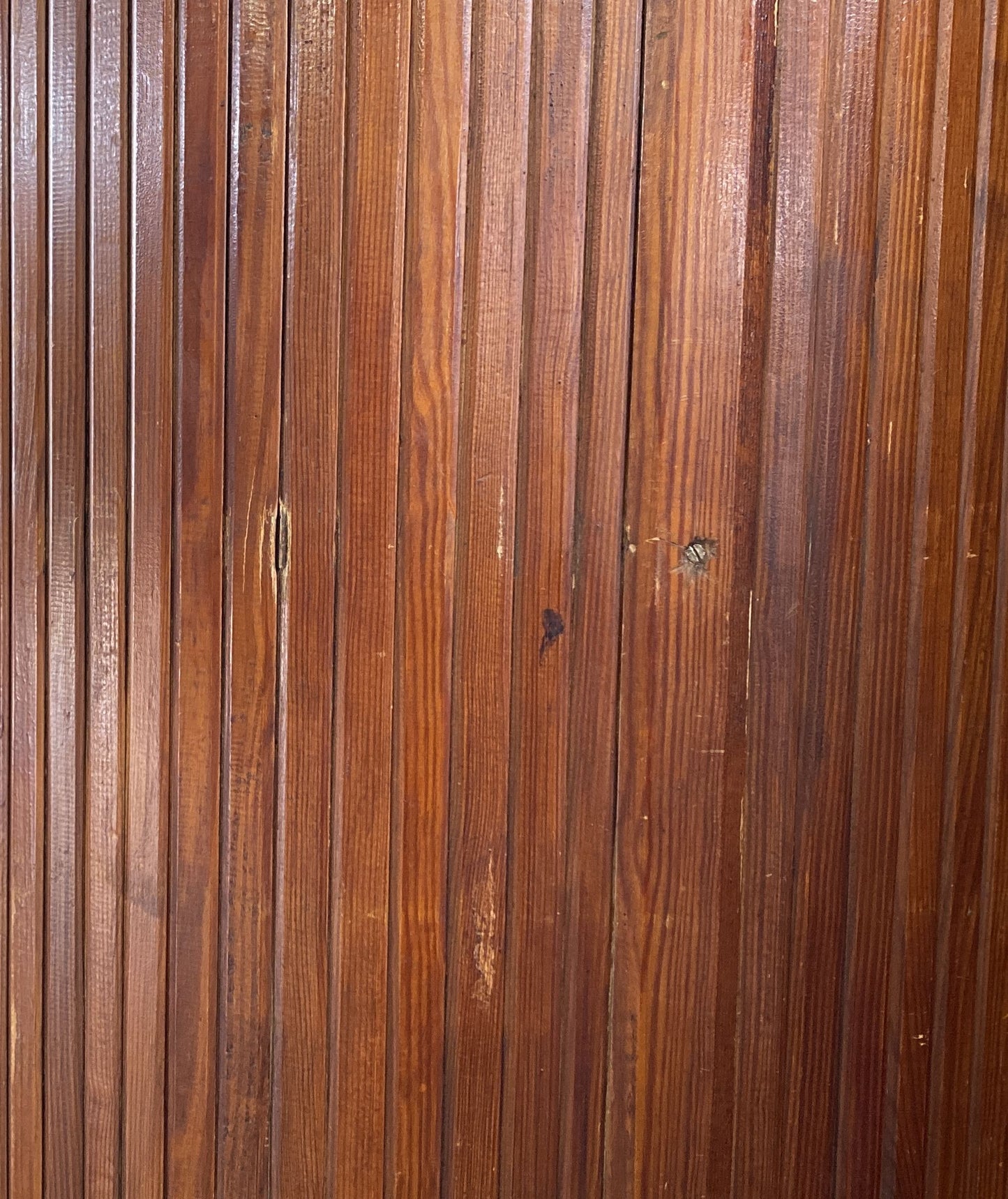 Anonymous Vintage Screen