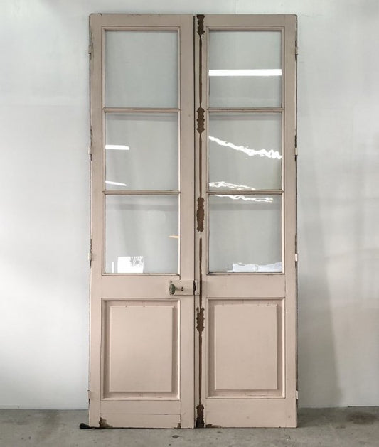 Pair of french glass doors