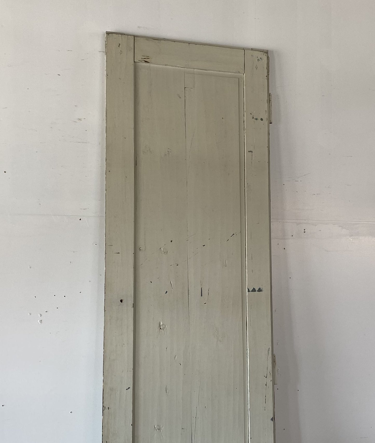 Panel Door