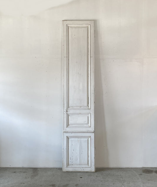 Panel Door