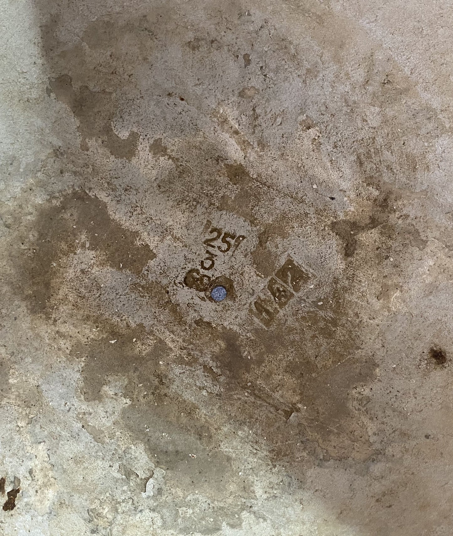 ”Willy Guhl” Planter Pot