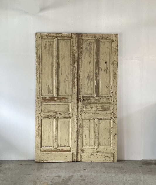 Pair of french panel doors