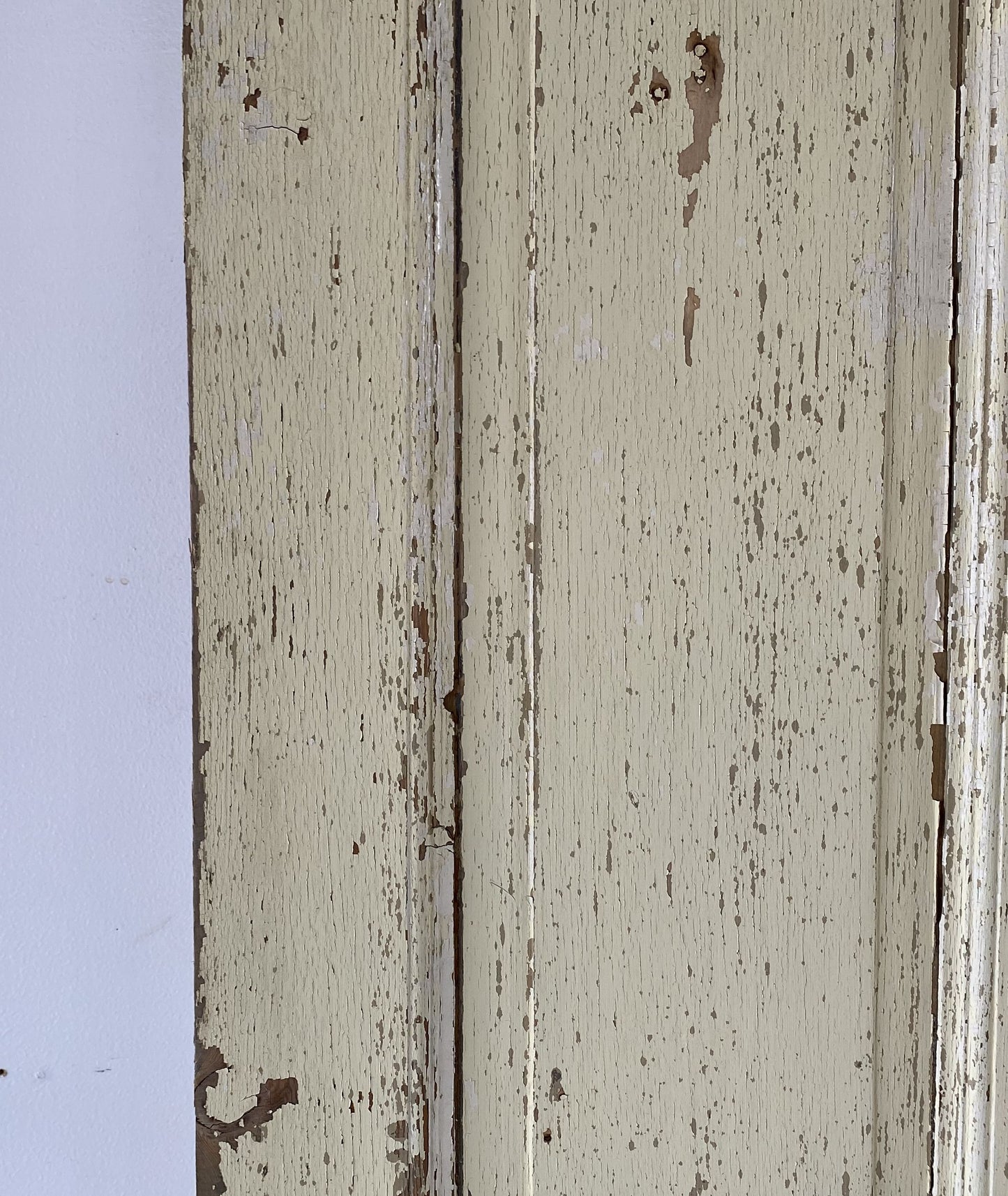 Pair of french panel doors