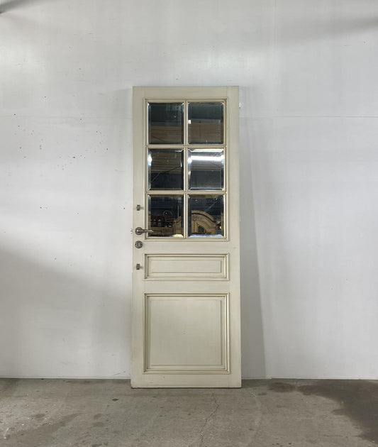 Mirror Panel Door