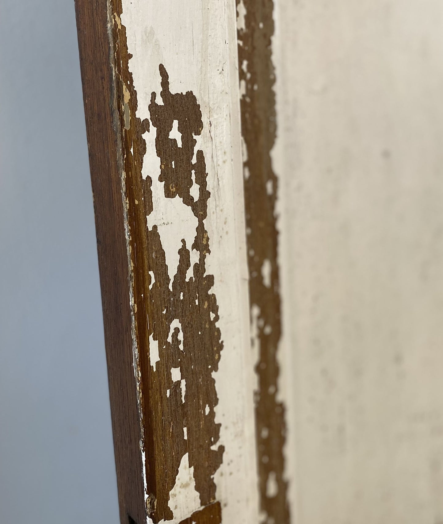 Pair of French iron Doors