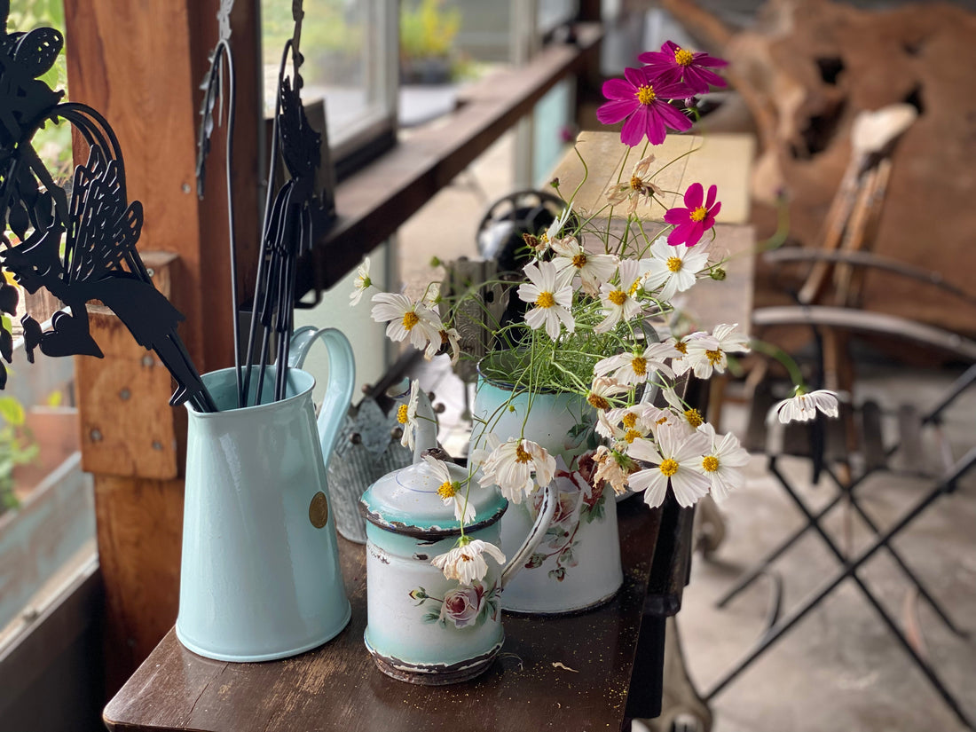 10月10日から10月末までお休み致します。