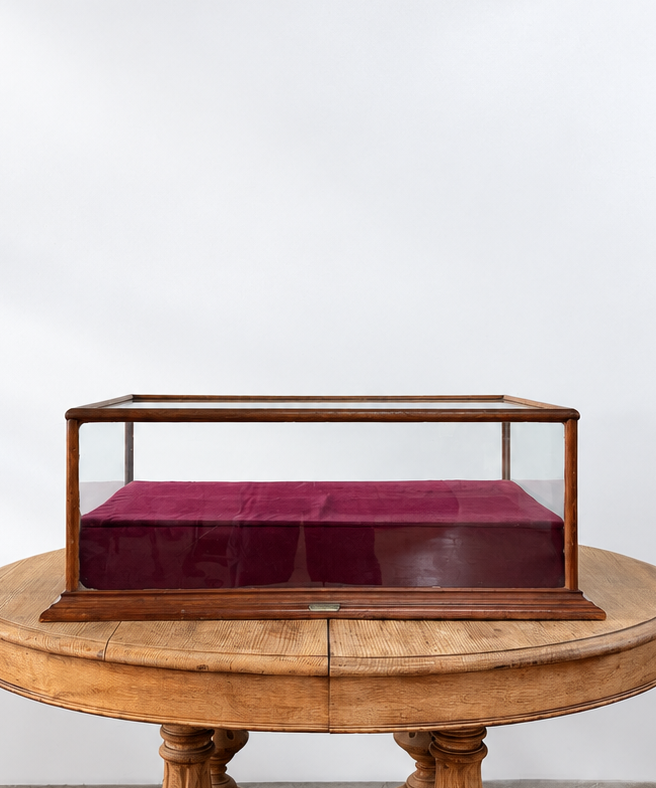 Antique Glass Display Case