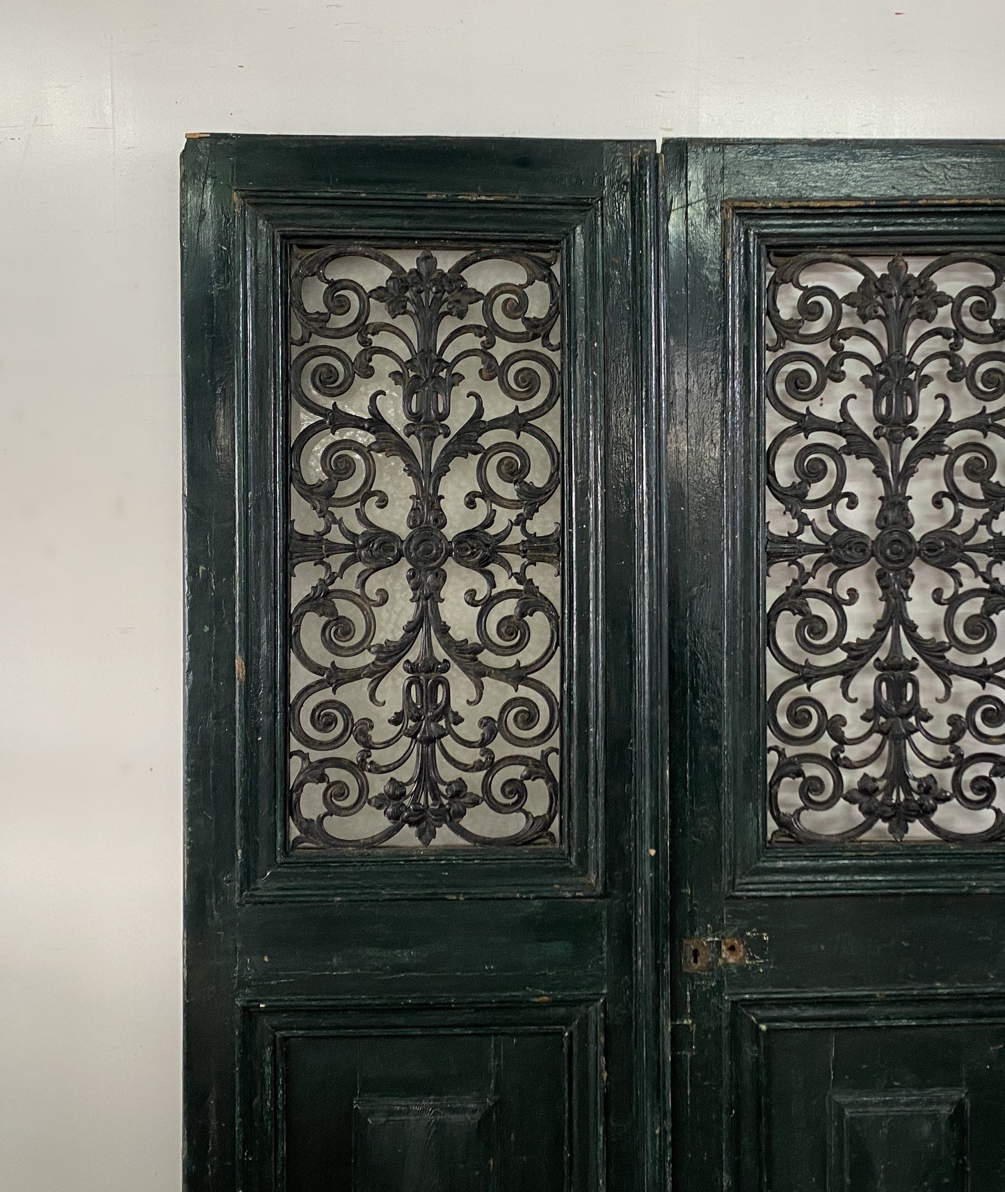 Pair of French iron Doors