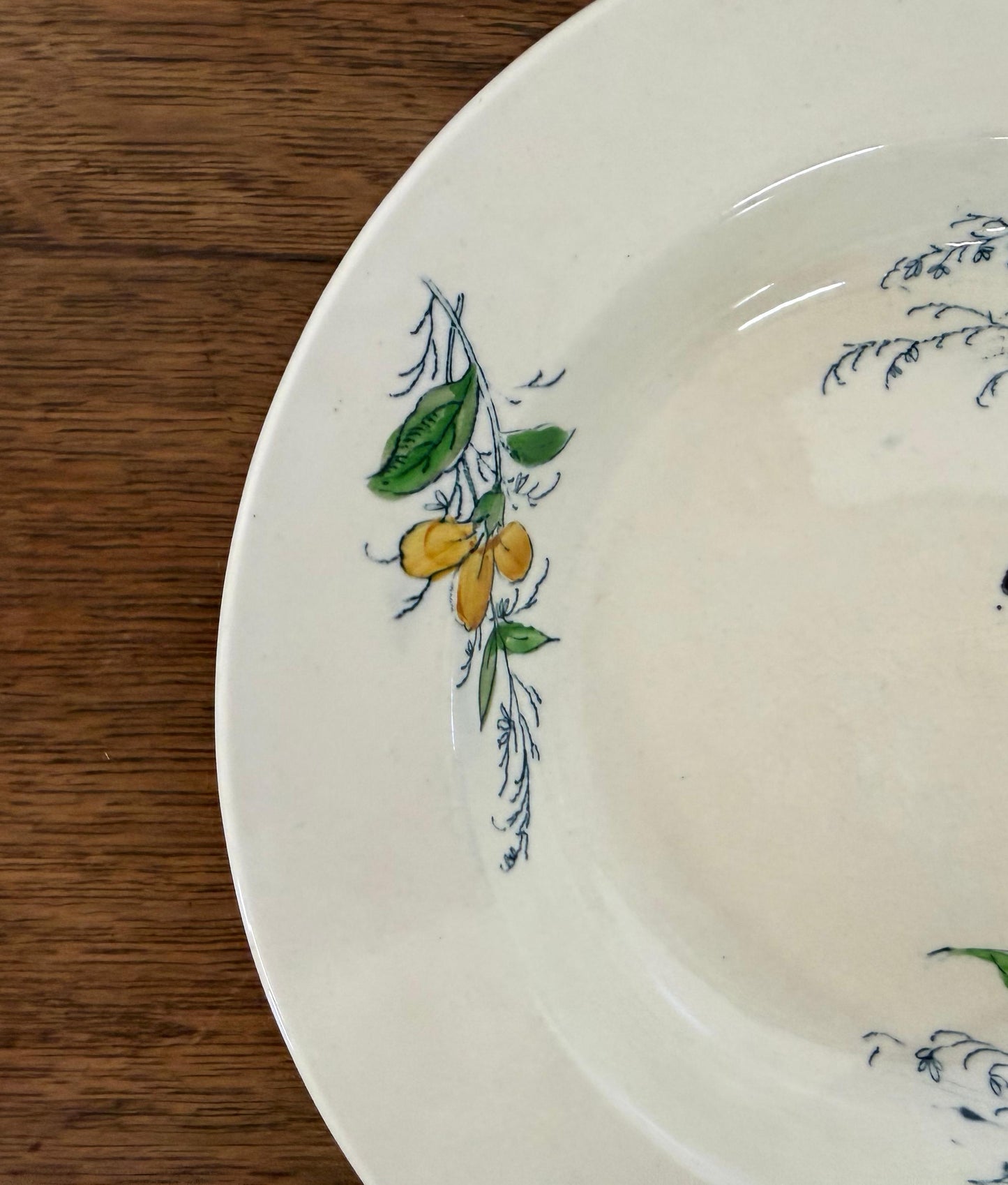 Jules Vieillard Bordeaux Soup Plate