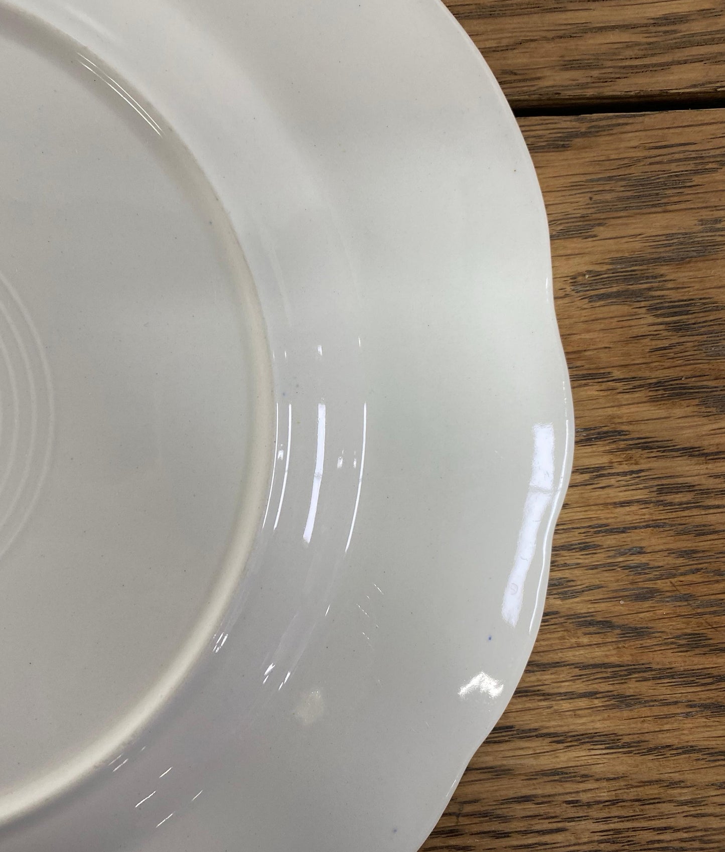 "BFK Boch" DORDRECHT Dinner Plate