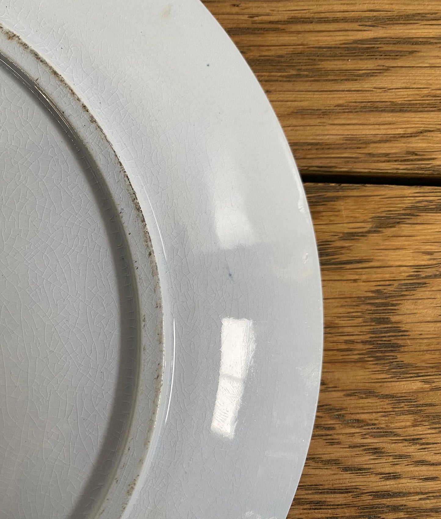 Sarreguemines"CORIN'THE  U&C"Dinner Plate A