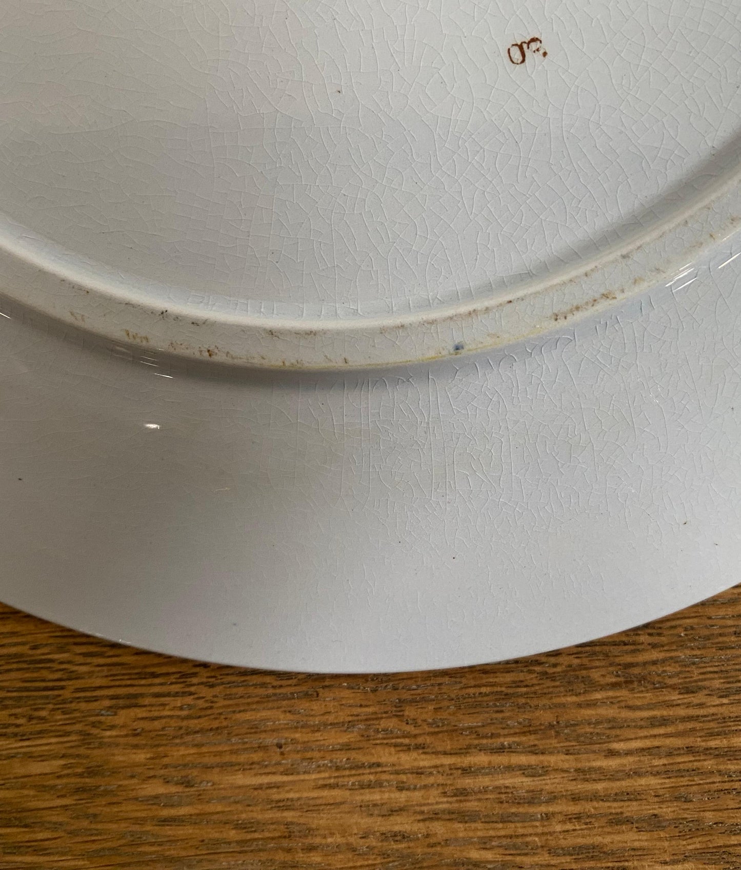 Sarreguemines"CORIN'THE  U&C"Dinner Plate A