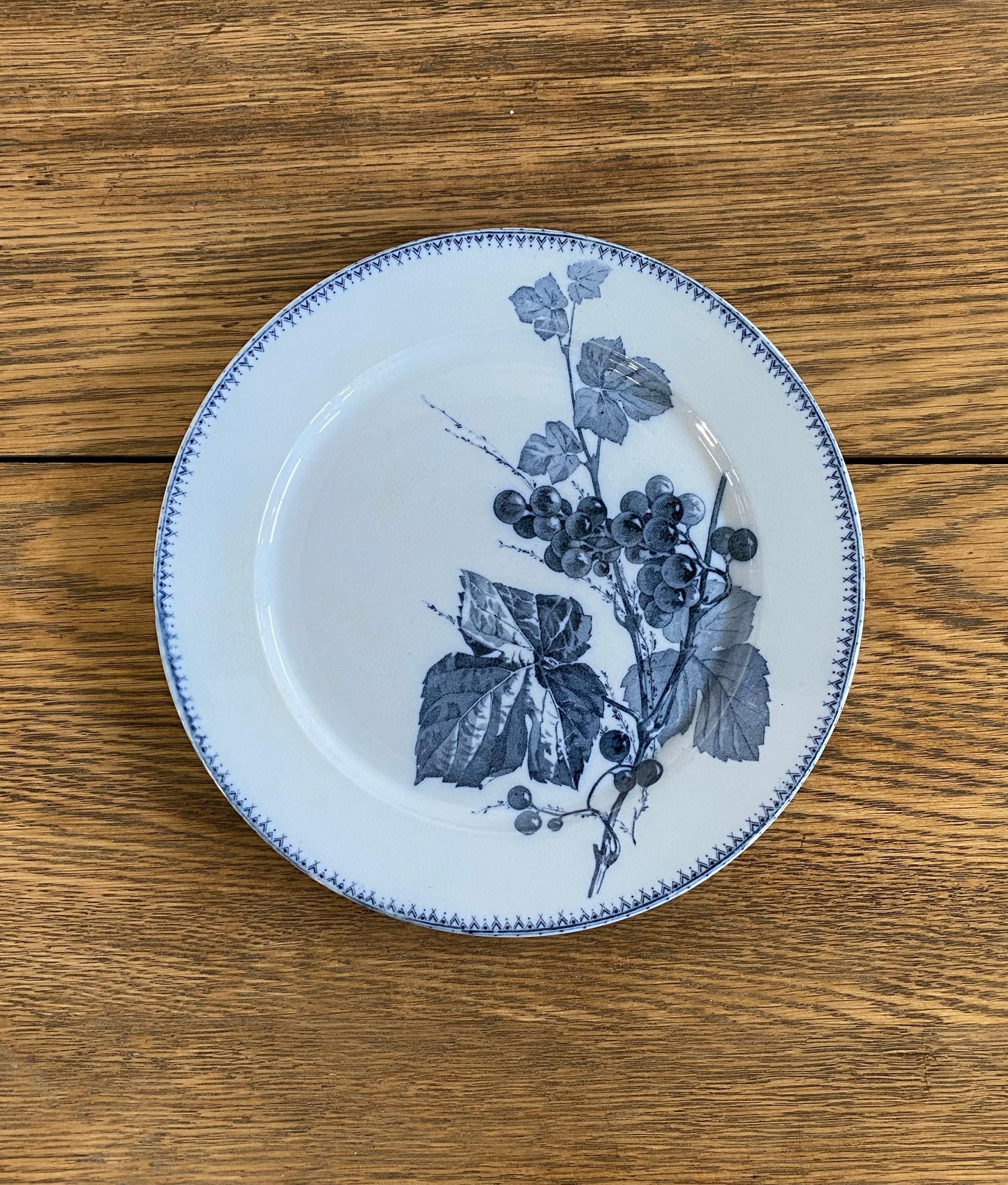 Sarreguemines"CORIN'THE  U&C"Dinner Plate B