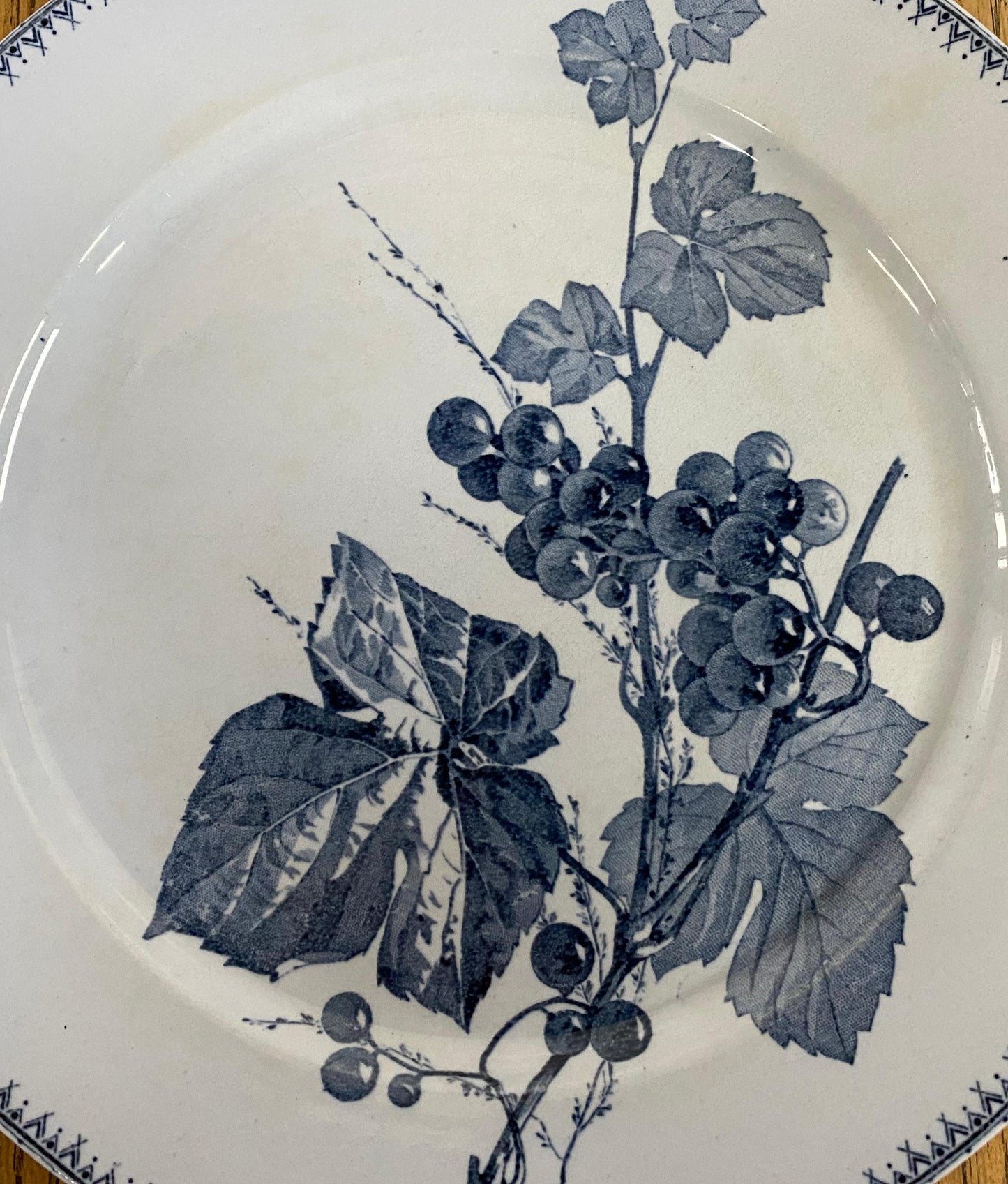 Sarreguemines"CORIN'THE  U&C"Dinner Plate B