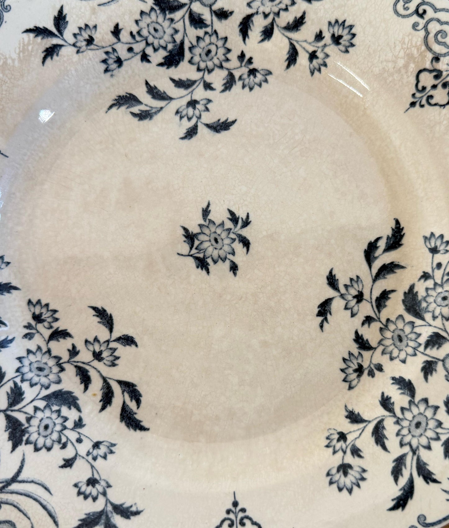 Sarreguemines"Moscou"Desert Plate