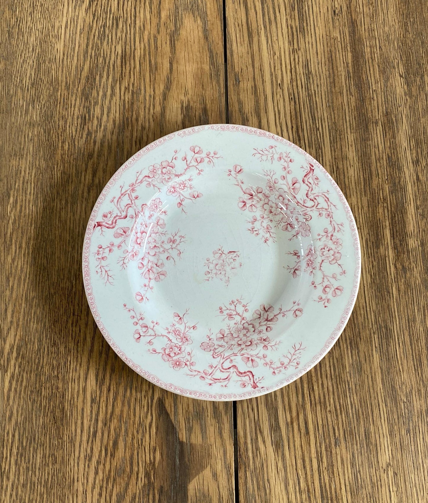 Gien"FLEURETTE"Soup Plate