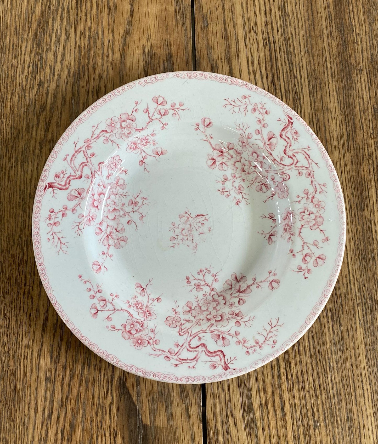 Gien"FLEURETTE"Soup Plate