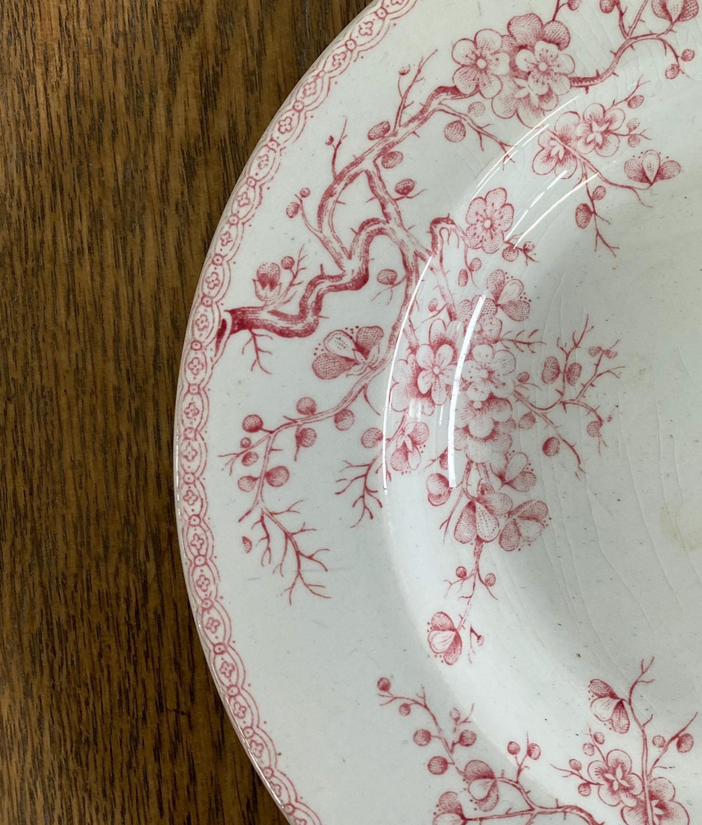 Gien"FLEURETTE"Soup Plate
