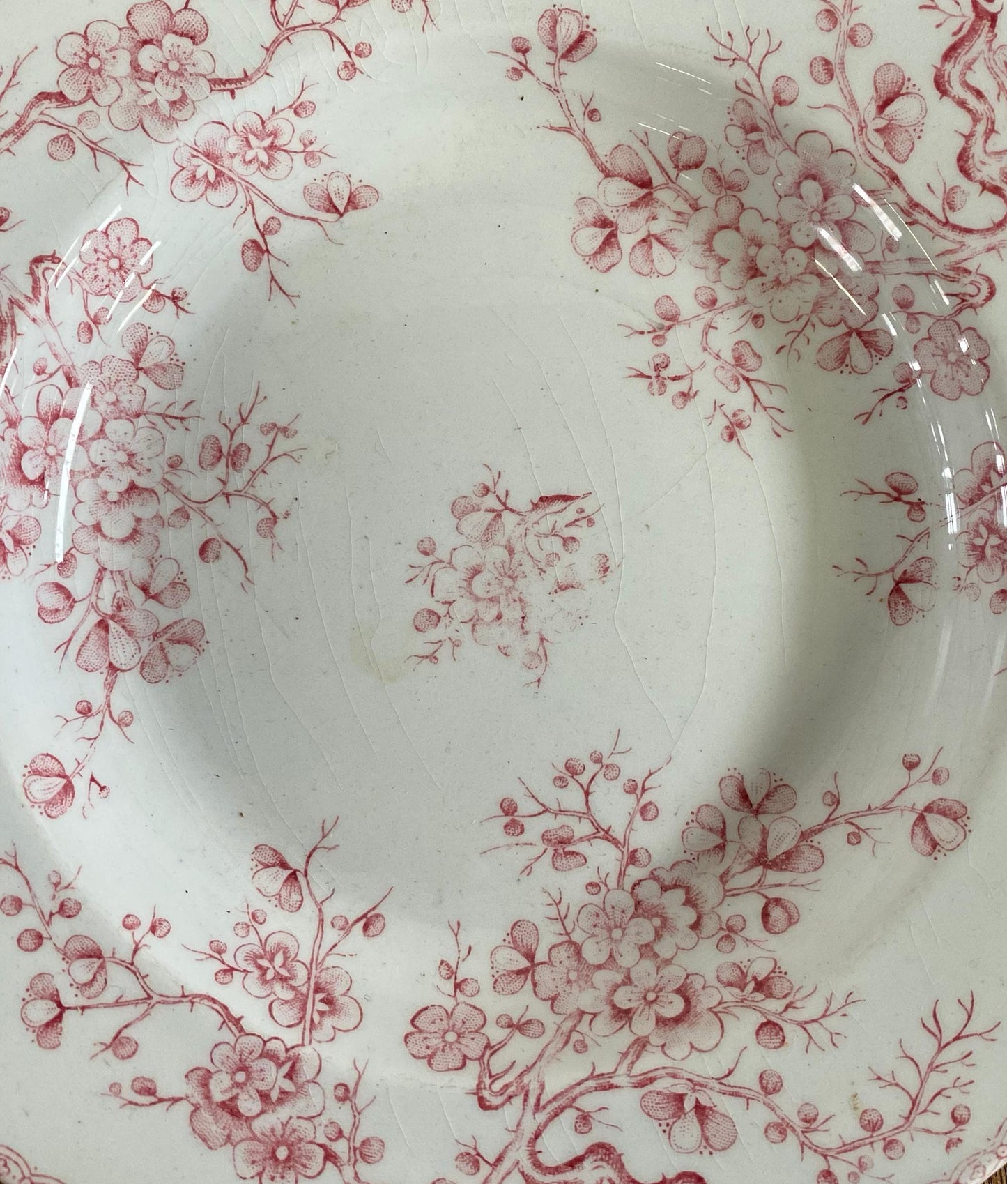 Gien"FLEURETTE"Soup Plate