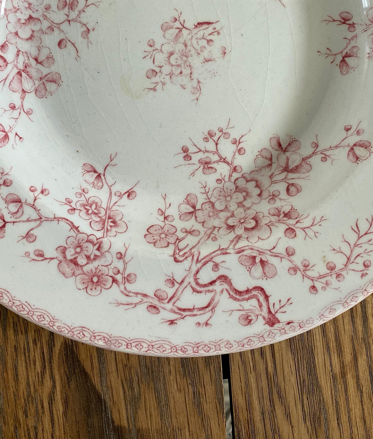 Gien"FLEURETTE"Soup Plate