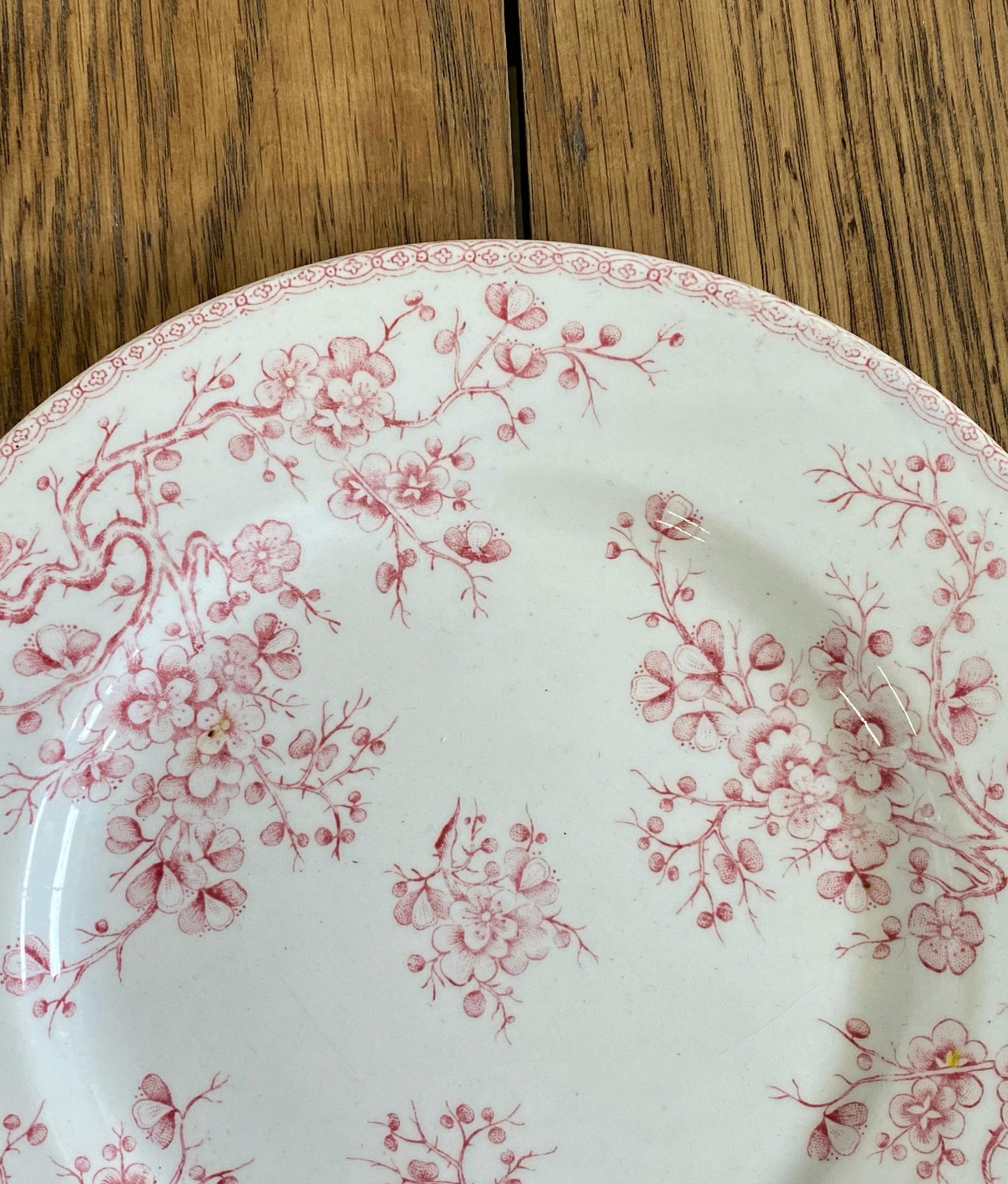 Gien"FLEURETTE" Plate
