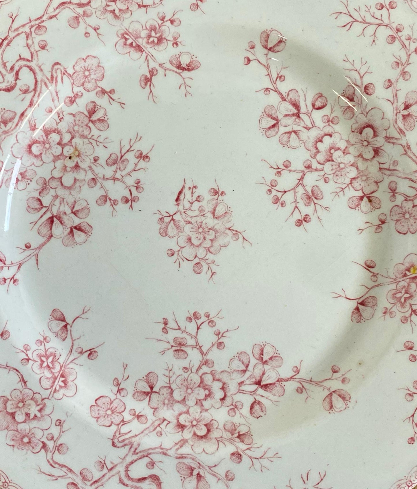 Gien"FLEURETTE" Plate