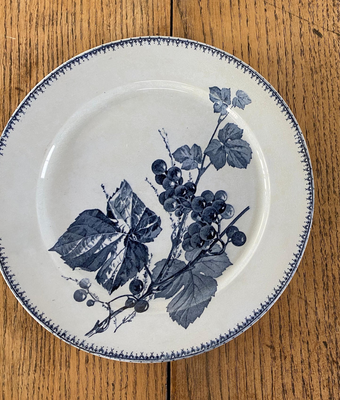Sarreguemines"CORIN'THE  U&C"Dinner Plate B