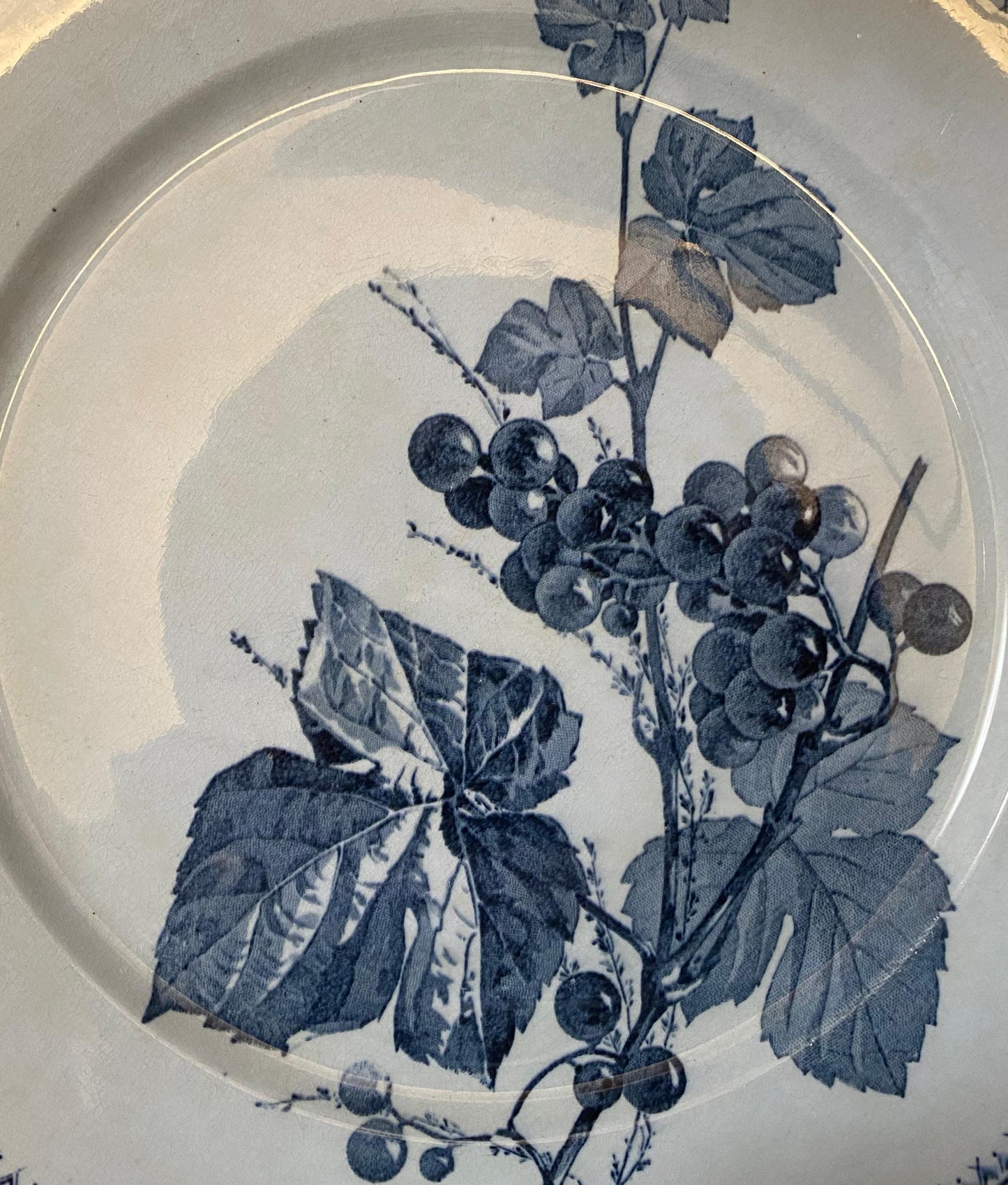 Sarreguemines"CORIN'THE  U&C"Dinner Plate B