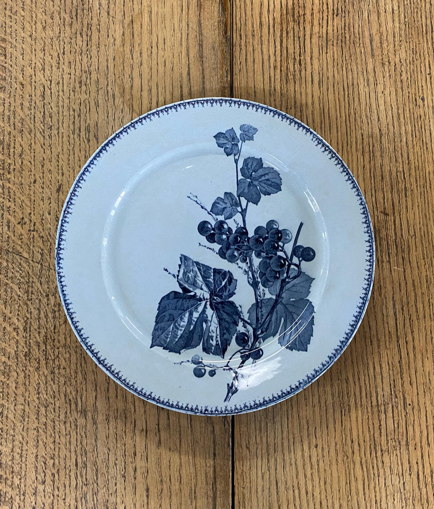 Sarreguemines"CORIN'THE  U&C"Dinner Plate B
