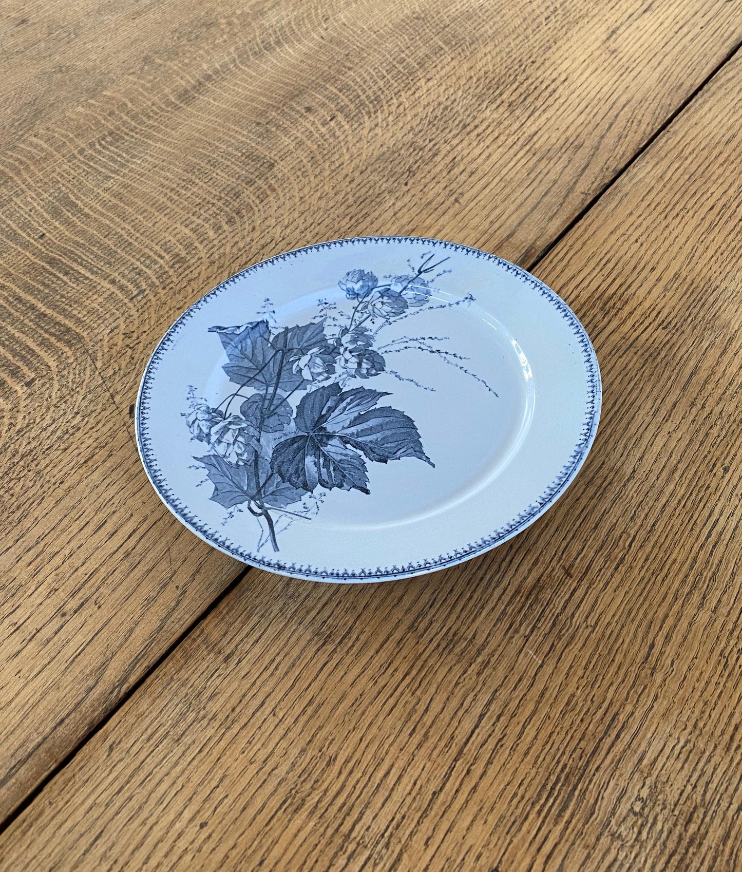 Sarreguemines"CORIN'THE  U&C"Dinner Plate A