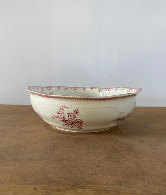 NIGELLA"Saint Amand"Bowl