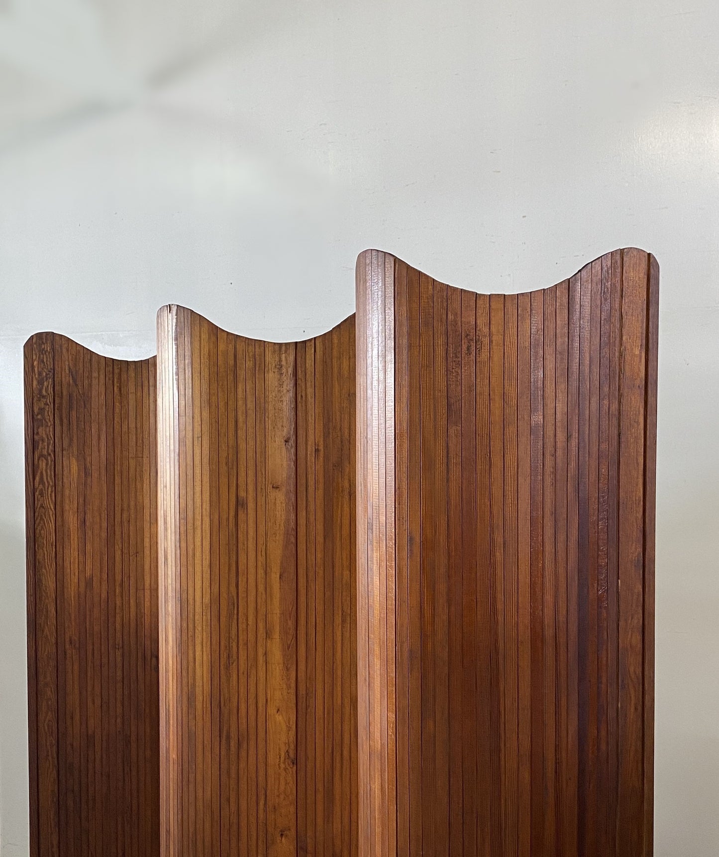 Anonymous Vintage Screen