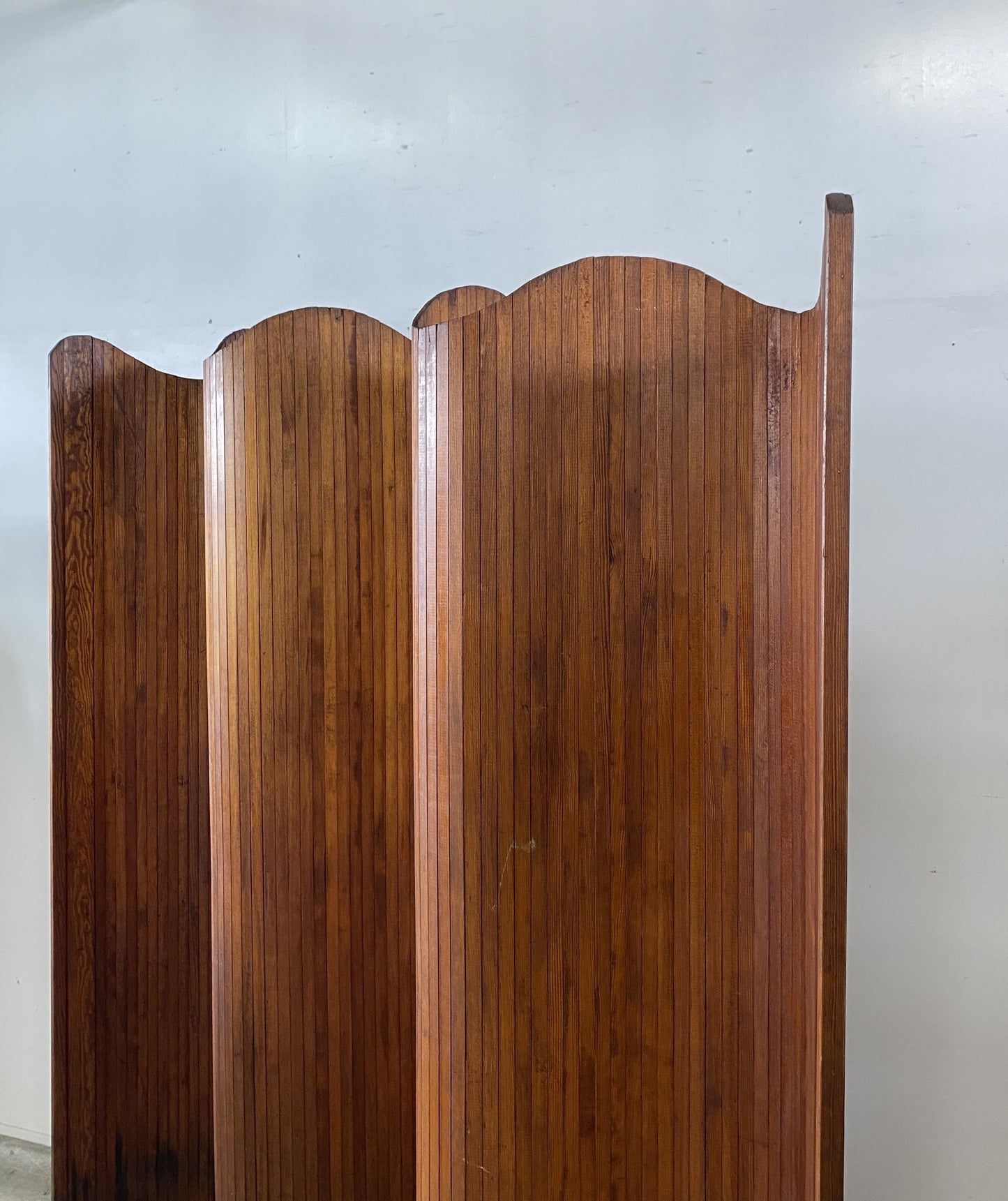 Anonymous Vintage Screen