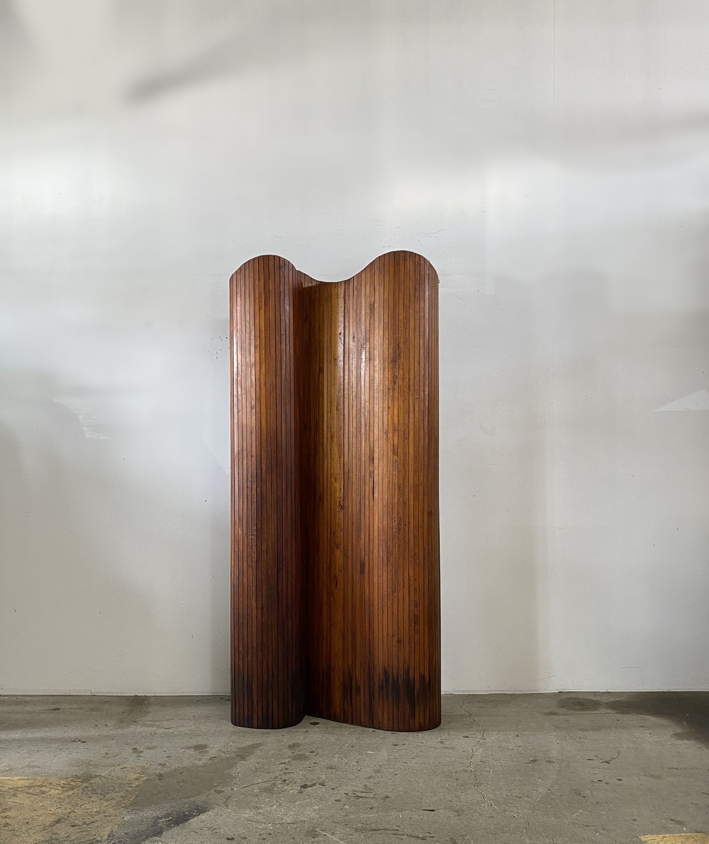 Anonymous Vintage Screen