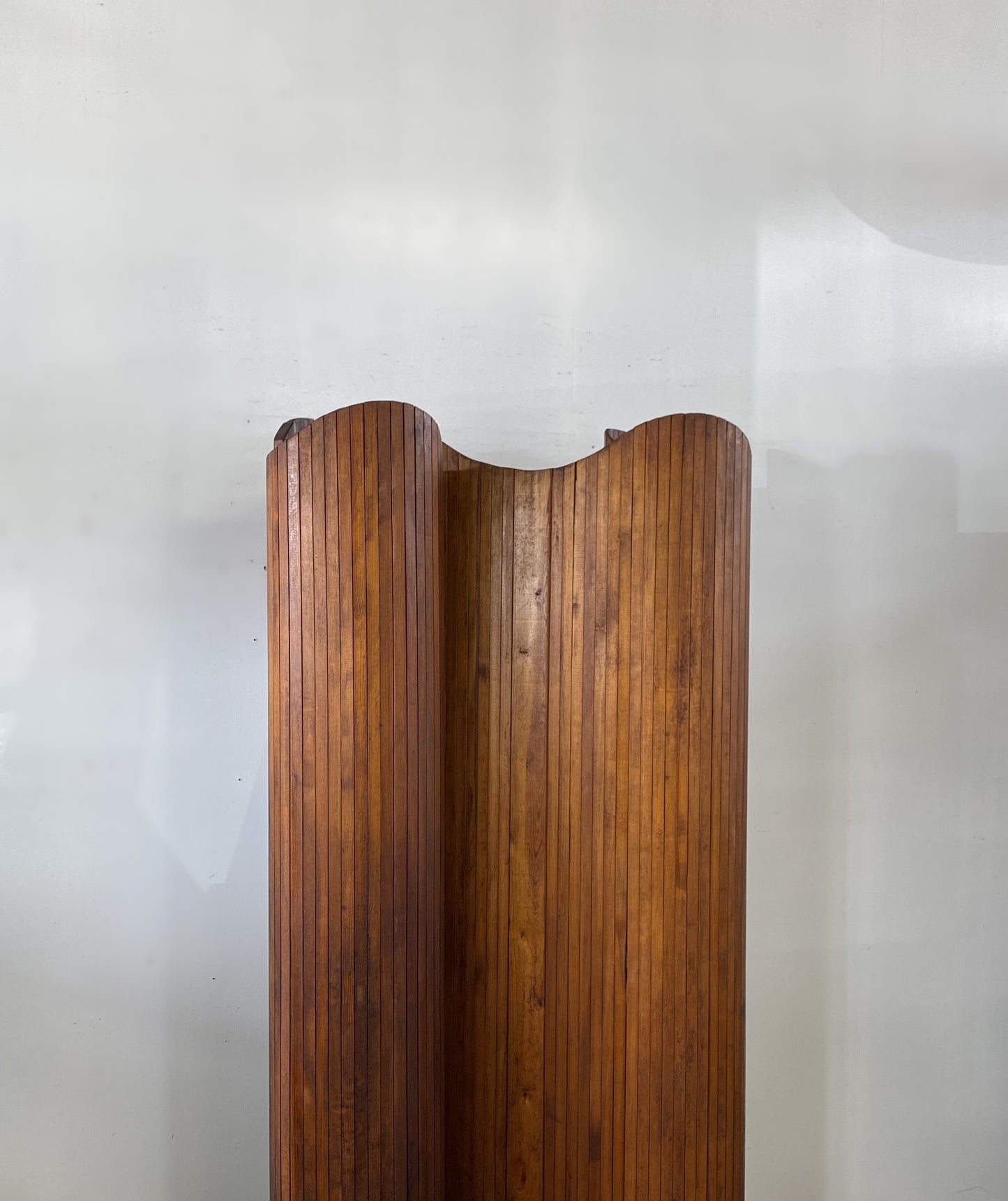 Anonymous Vintage Screen