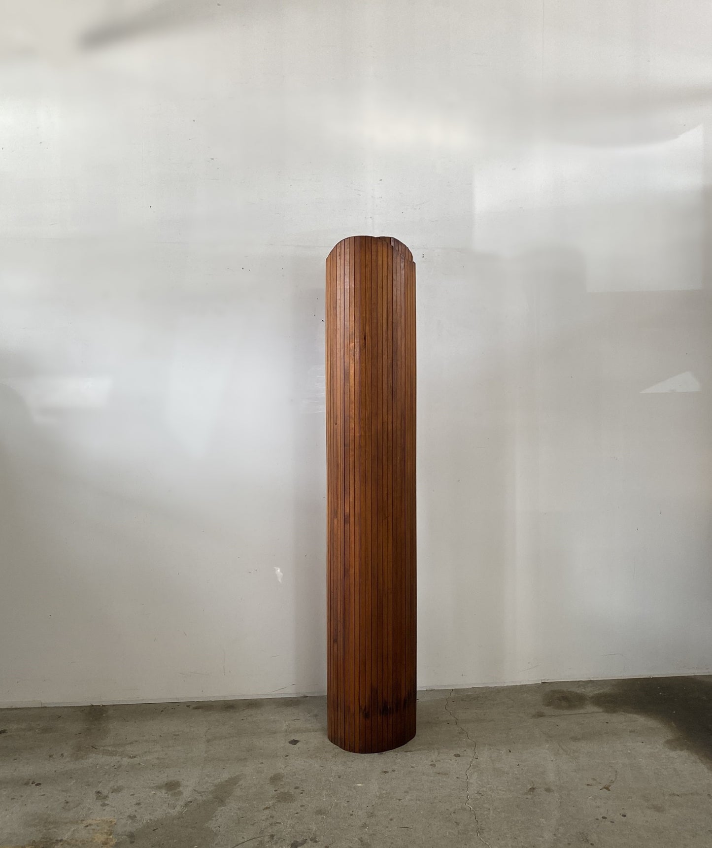 Anonymous Vintage Screen