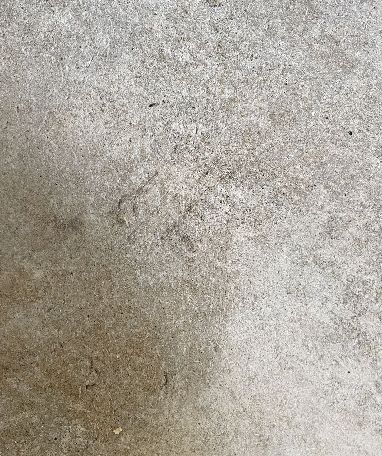 ”Willy Guhl” Planter Pot