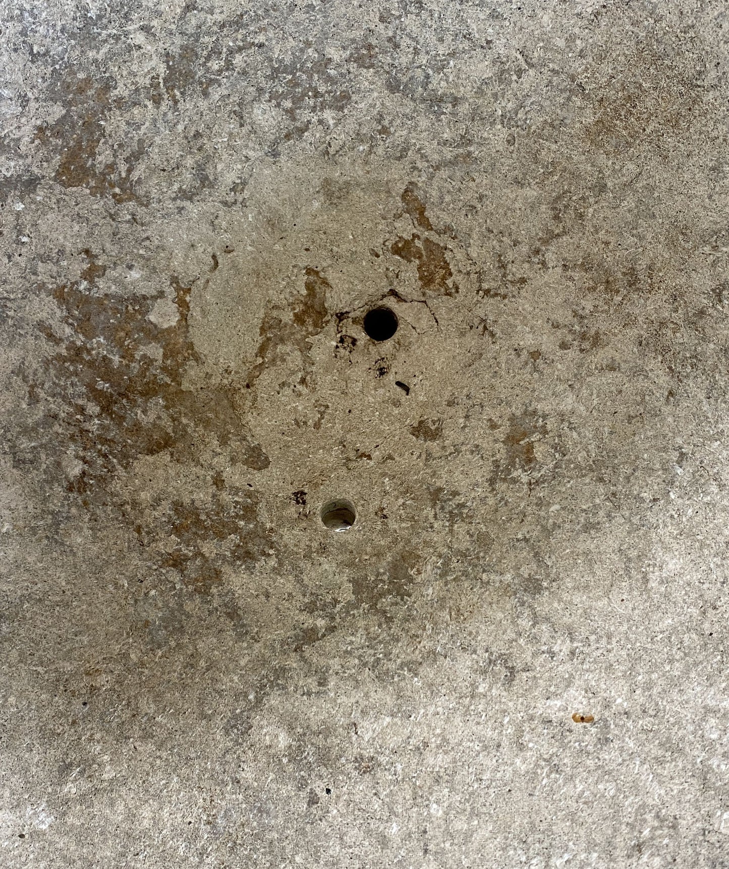 ”Willy Guhl” Planter Pot