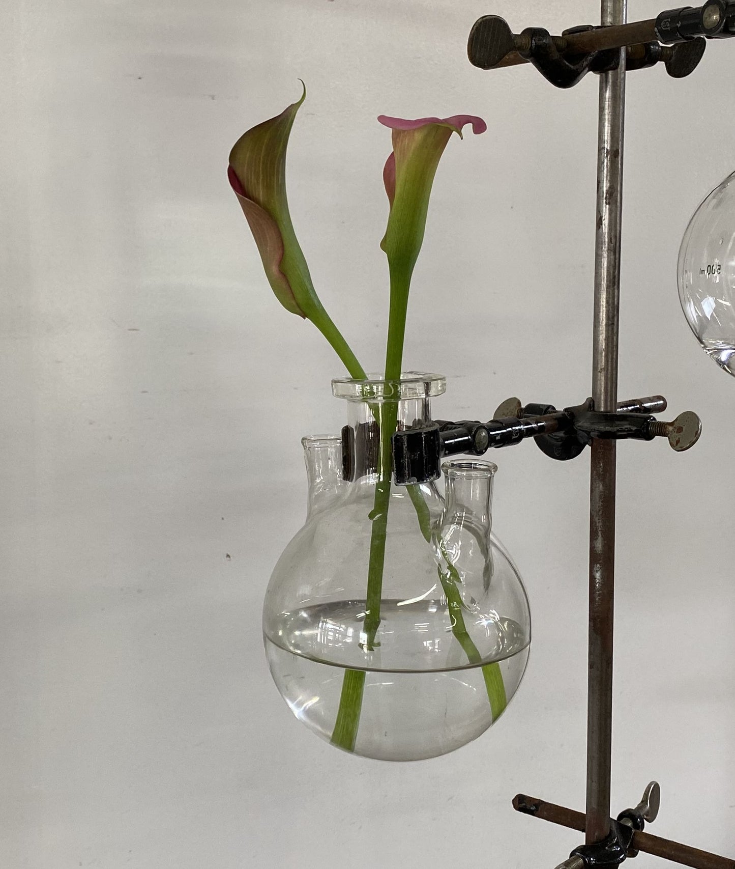 Laboratory Glasses Vase