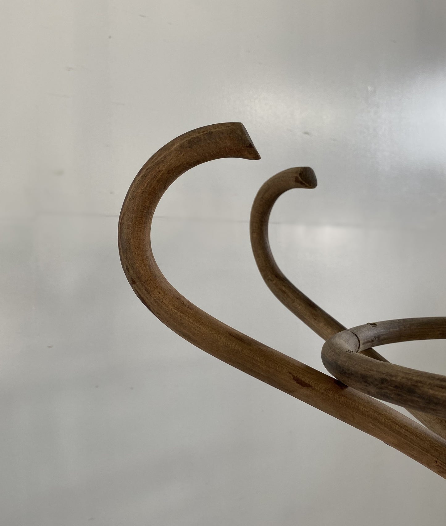 Bentwood Coat Rack