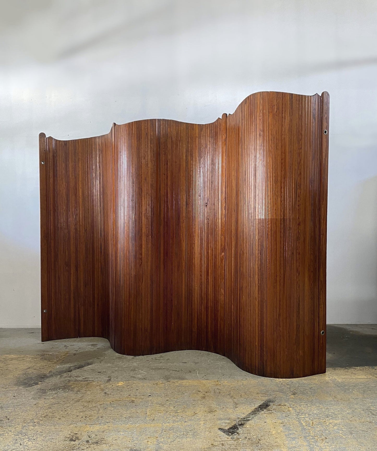 Anonymous Vintage Screen