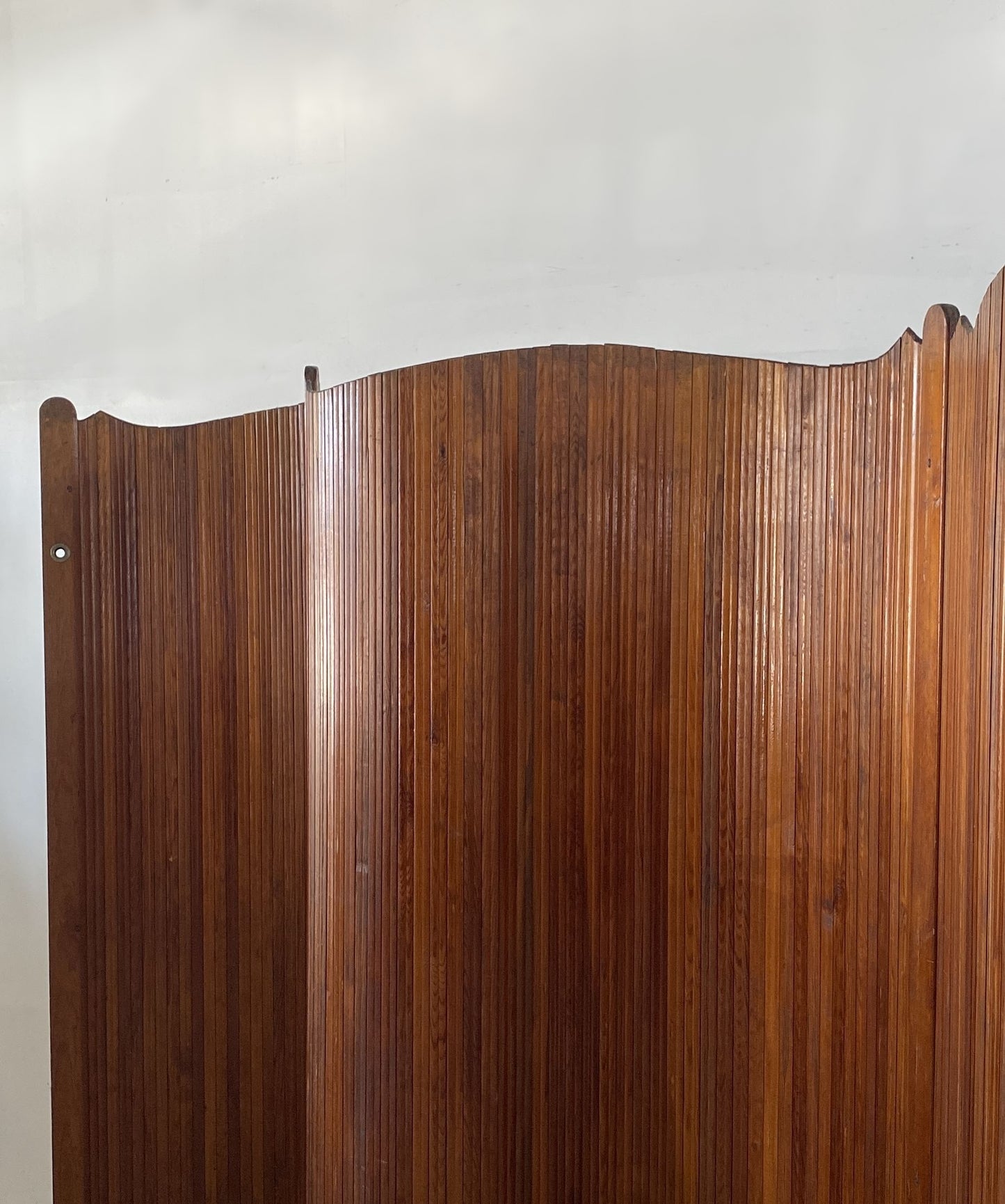 Anonymous Vintage Screen
