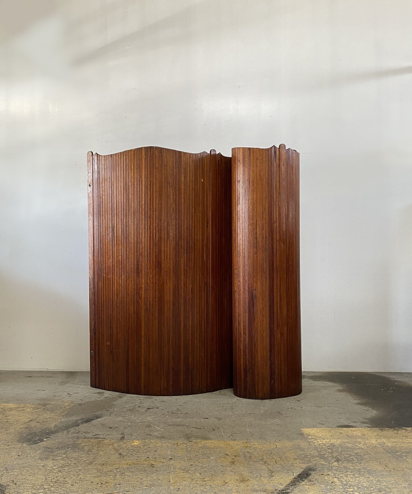 Anonymous Vintage Screen