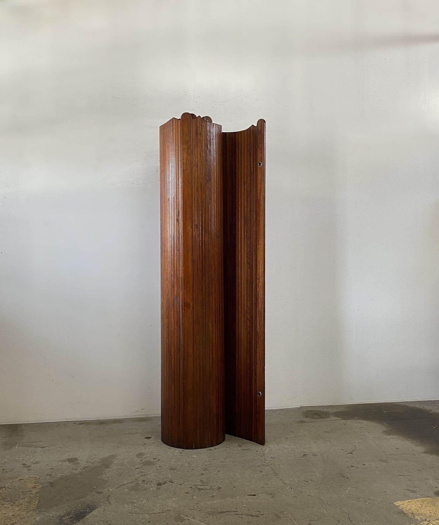 Anonymous Vintage Screen