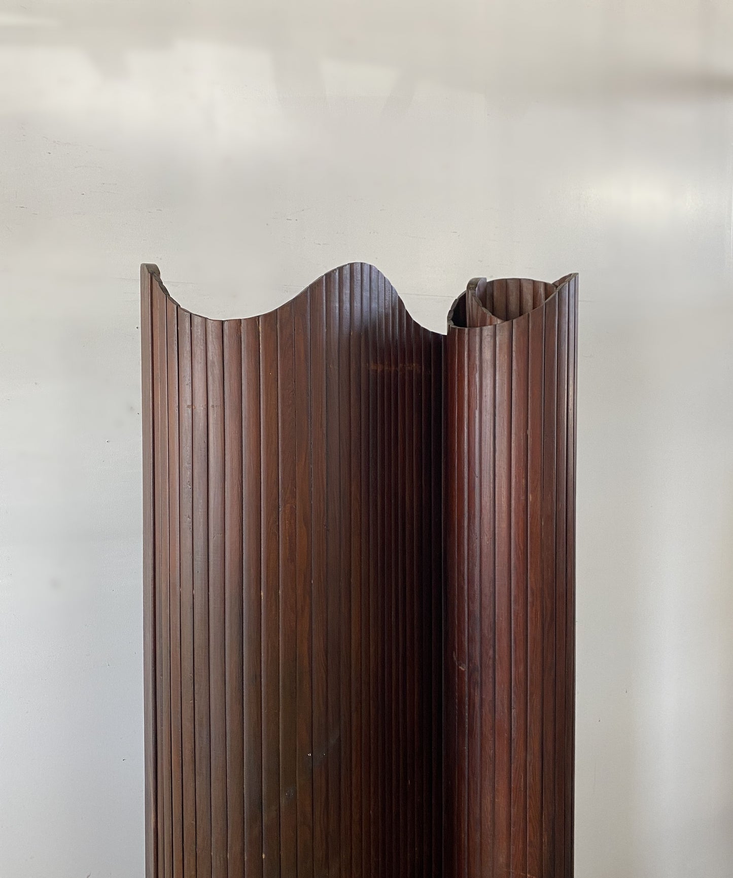 Anonymous Vintage Screen