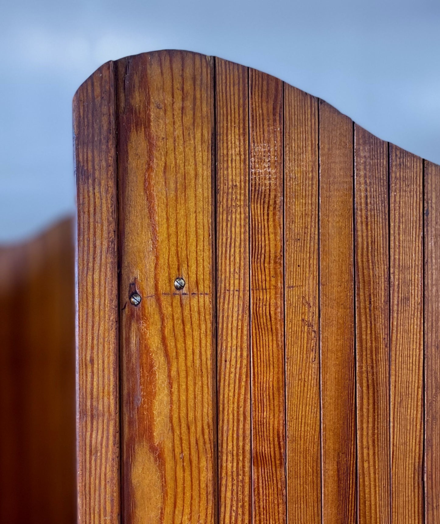 Anonymous Vintage Screen