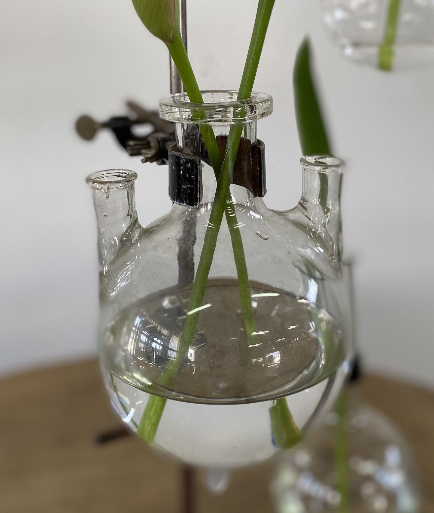 Laboratory Glasses Vase