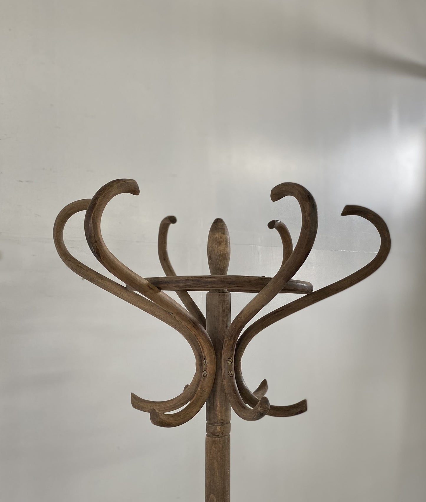 Bentwood Coat Rack