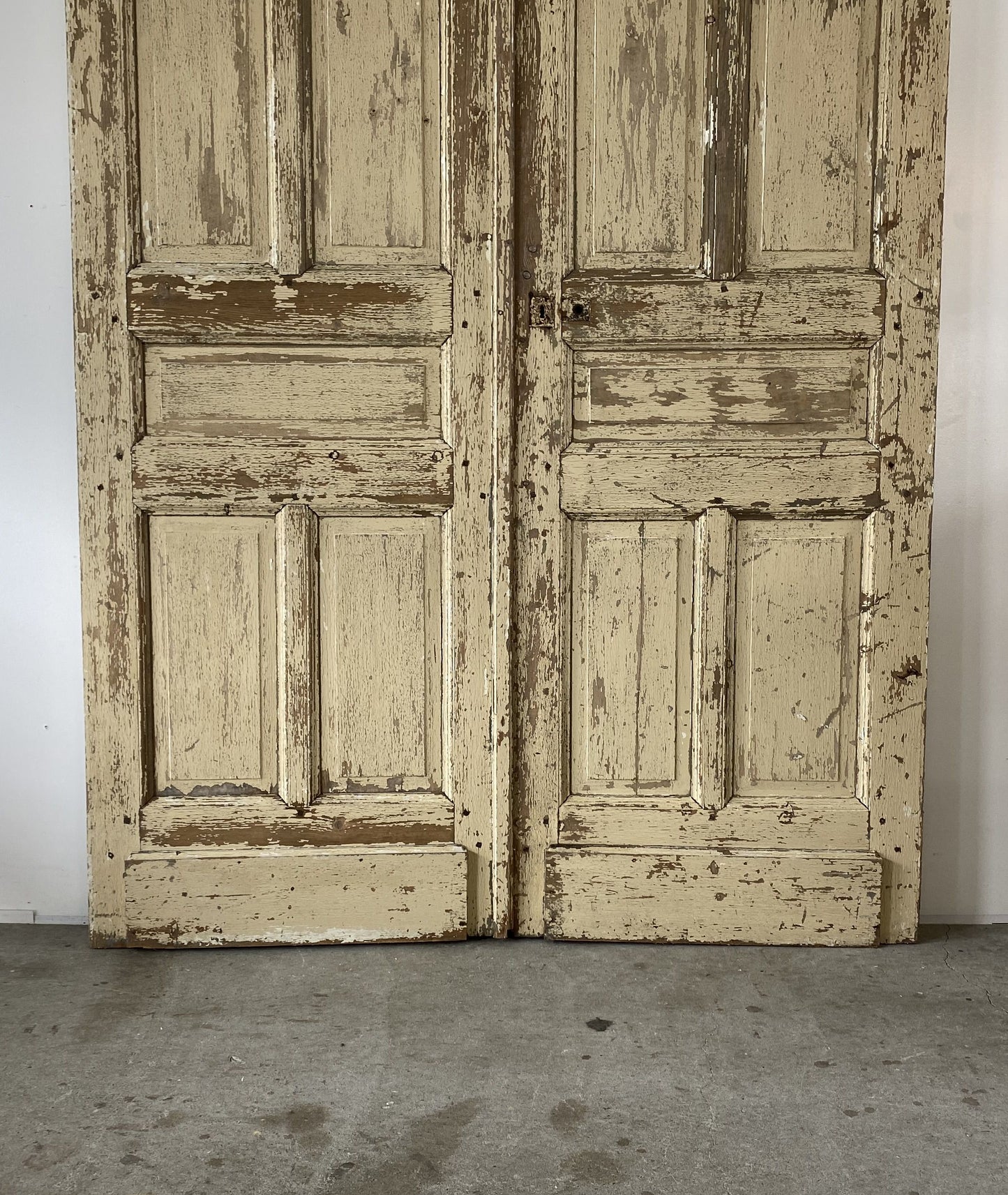 Pair of french panel doors